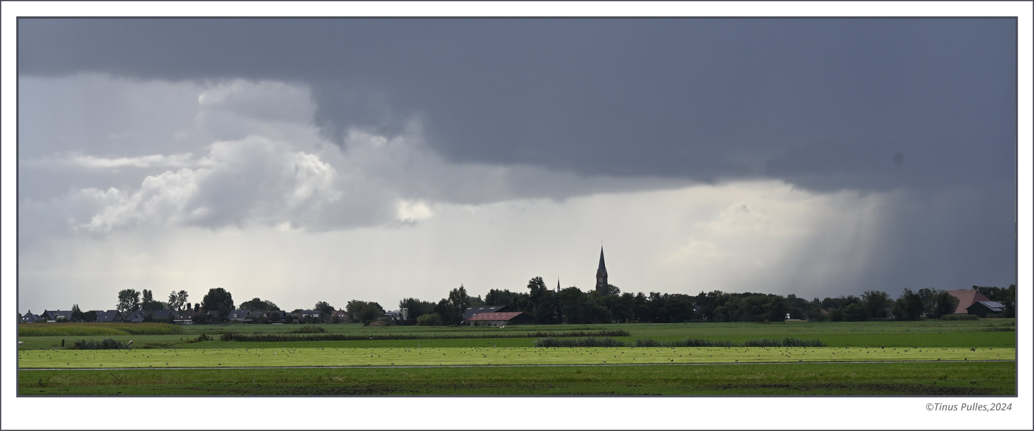 Mijn foto’s in 2024